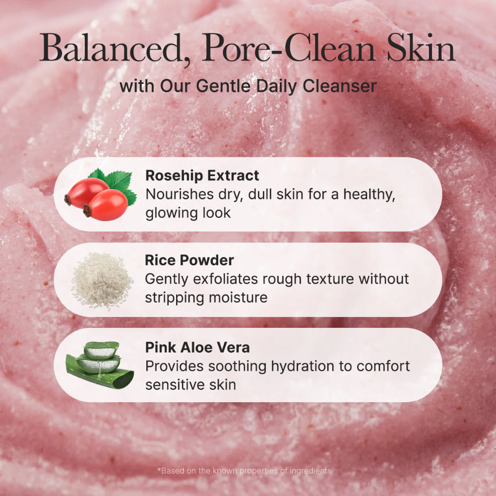 Fresh Rosehip Rice Mochi cleanser - nudemakeupgt