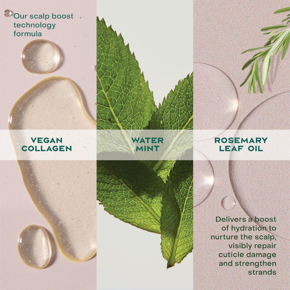 Scapls  & hair oil - nudemakeupgt